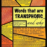 graphic boxes containing words that are transphobic on yellow and orange background